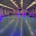 BlackMinton Herlies