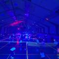 BlackMinton Herlies