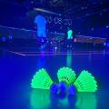 BlackMinton Nanteuil