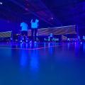 BlackMinton Nanteuil
